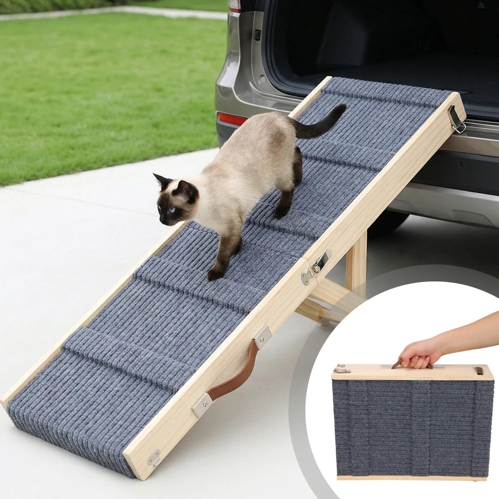Chat utilisant une rampe voiture chien pour monter dans un véhicule
