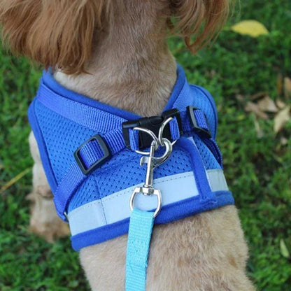 Harnais chien confortable – vue d'ensemble du produit avec laisse assortie