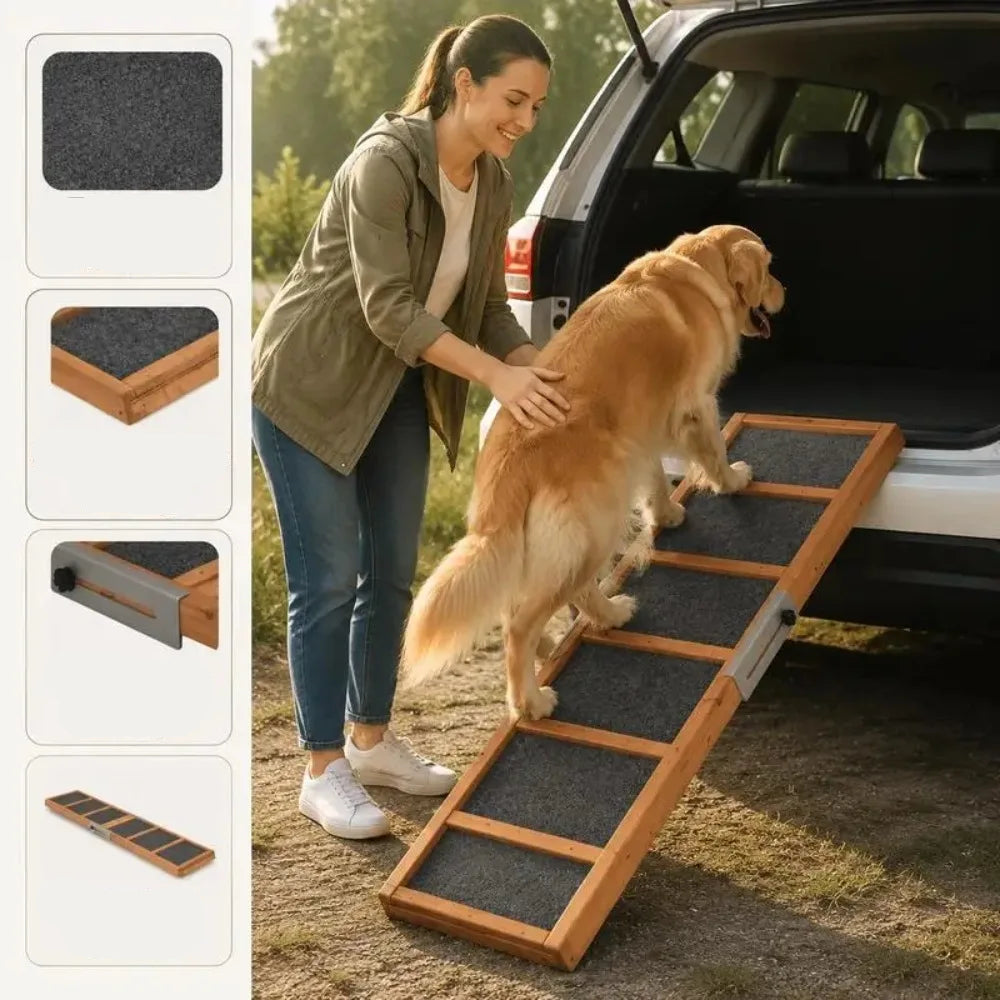 Rampe pour voiture pour chien utilisée par un chien pour accéder facilement au coffre