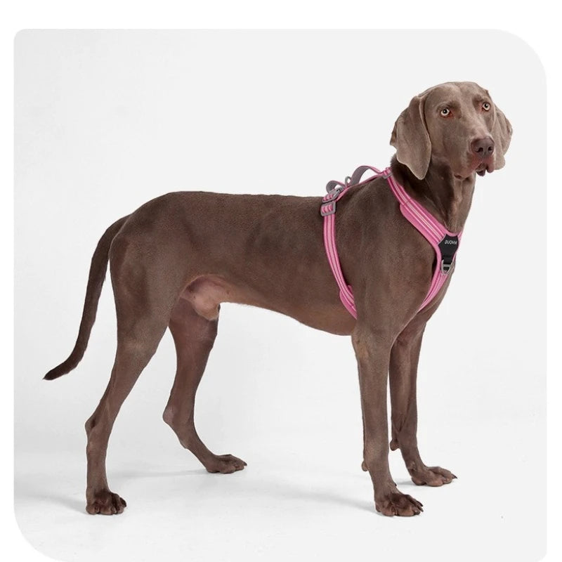 Harnais confortable chien Weimaraner orange réfléchissant en extérieur
