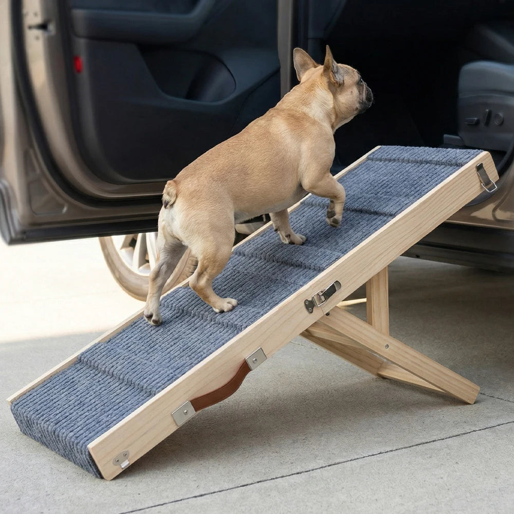 Chien montant dans une voiture à l’aide d’une rampe voiture chien