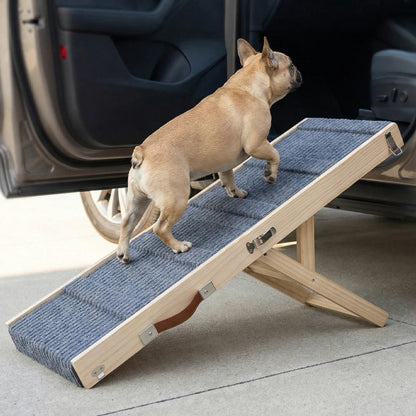 Chien montant dans une voiture à l’aide d’une rampe voiture chien
