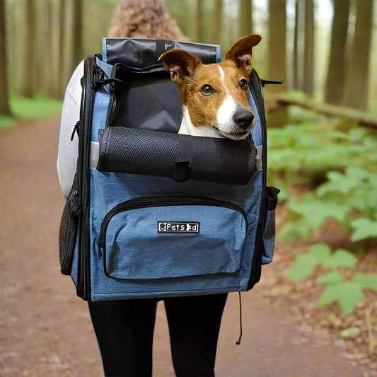 Sac à dos chien |MuseauNomade™