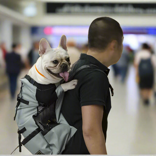 Sac à dos pour chien Nomadog terminal autobus