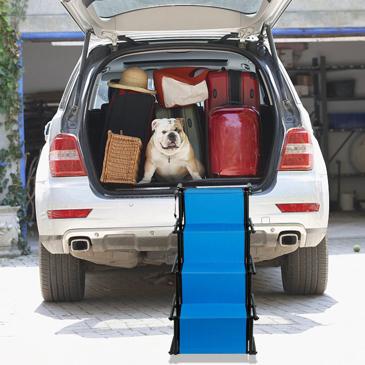 Rampe pour chiens voiture bleue déployée dans le coffre d’une voiture blanche