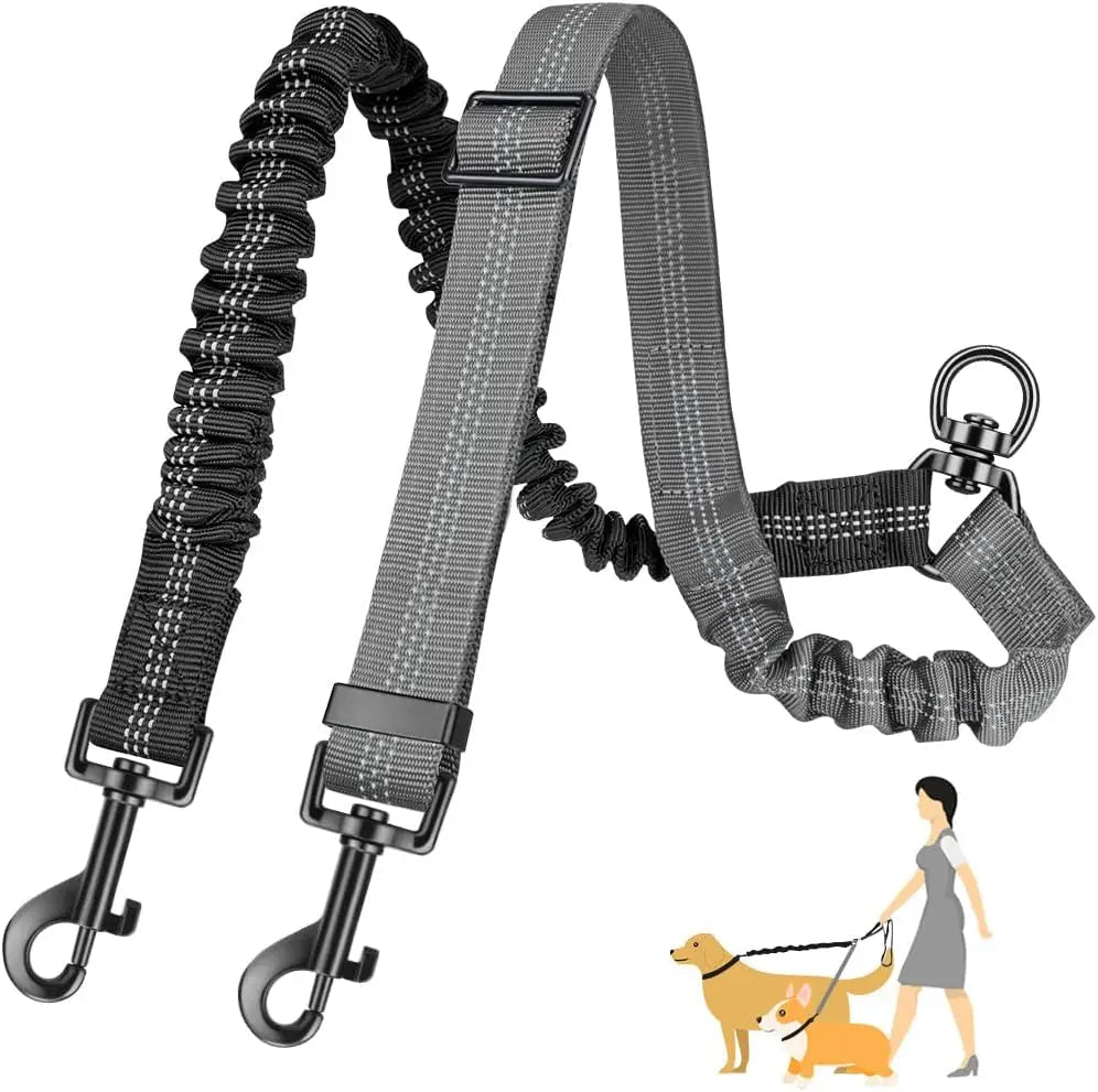 1.6ft Long Dual Dog Leash Attachment - Double Leashes for Training Small to Large Dogs - Adjustable Strap Shock Absorbing Bungee Royaume Animalier