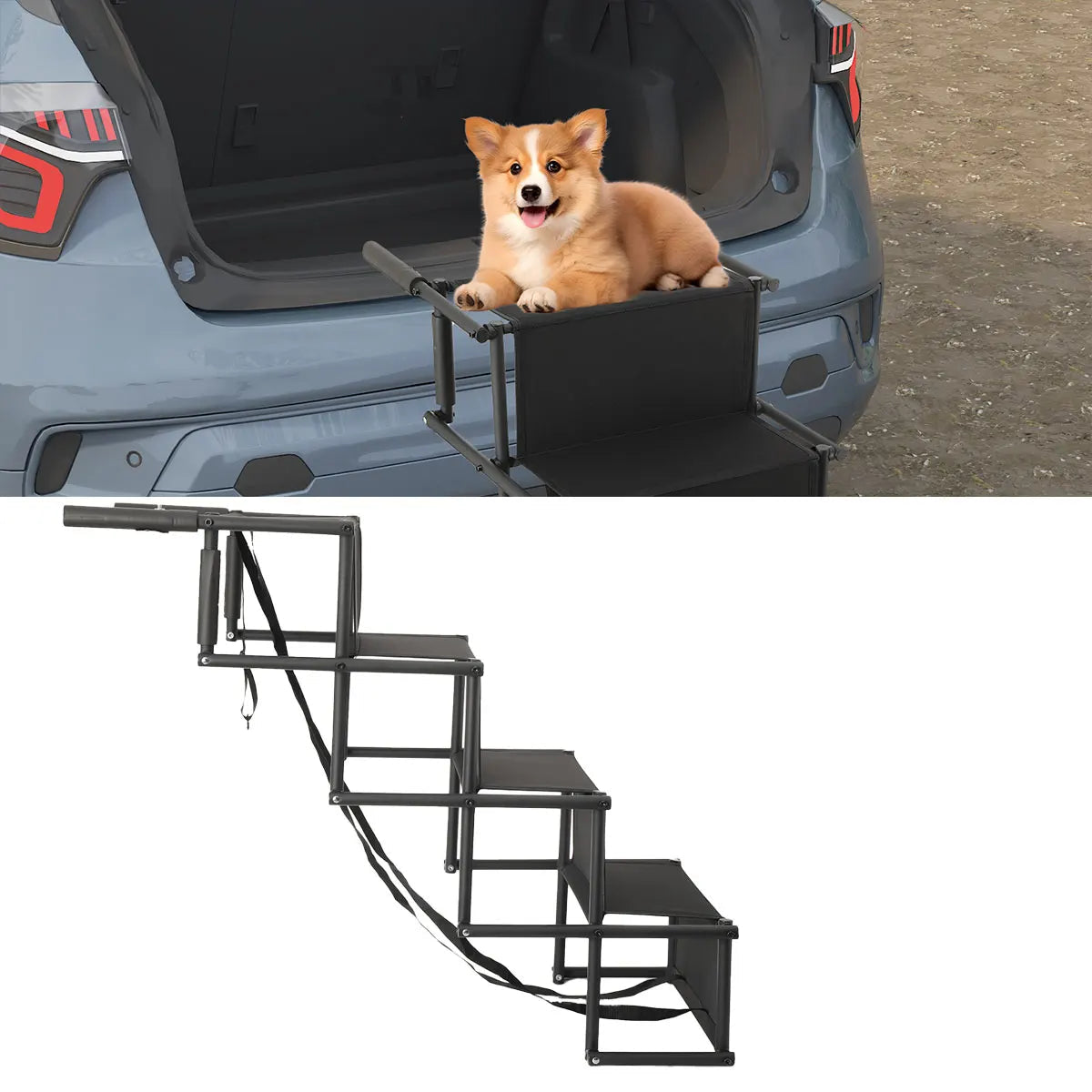 Rampe escalier pour chien fixée au coffre de voiture
