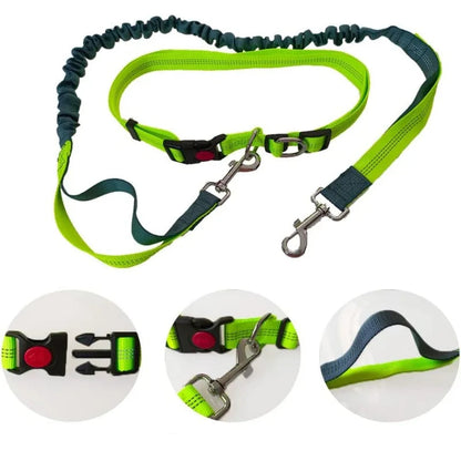 Laisse élastique pour chien coloris vert avec mousqueton et poignée