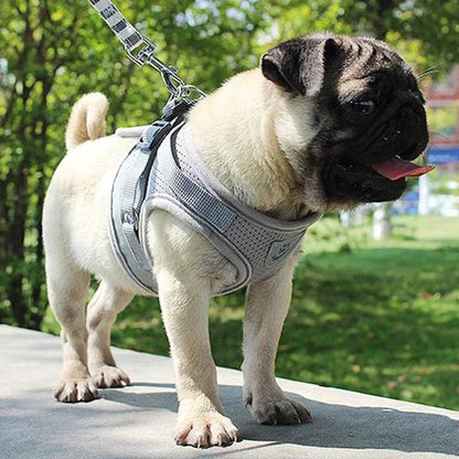 Harnais chien confortable – détail du rembourrage doux et des sangles réglables