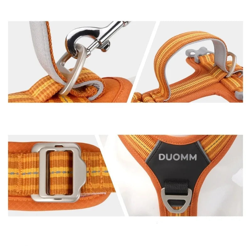 Harnais confortable chien détails des accessoires et points de fixation