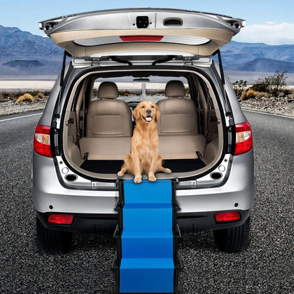 Rampe pour chiens voiture bleue installée dans le coffre d’un véhicule gris