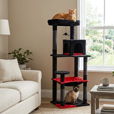 Arbre chat gothique noir et rouge avec chat roux en hauteur et chat siamois au sol dans un salon lumineux