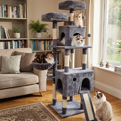Vue d'ensemble arbre pour chat Palais Impérial dans une bibliothèque cosy
