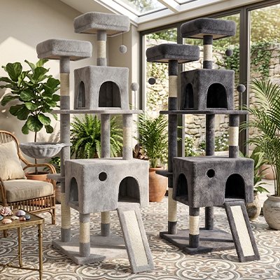 Arbre pour chat Palais Impérial gris dans une véranda lumineuse avec plantes