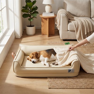 Beagle dort sur son Lit canapé pour chien dans salon