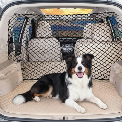 Border Collie couché dans le coffre derrière une grille de protection noire sur tapis matelassé beige