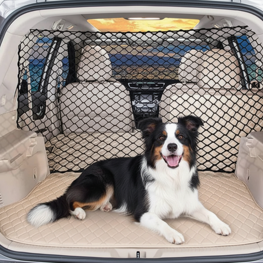 Border Collie couché dans le coffre derrière une grille de protection noire sur tapis matelassé beige