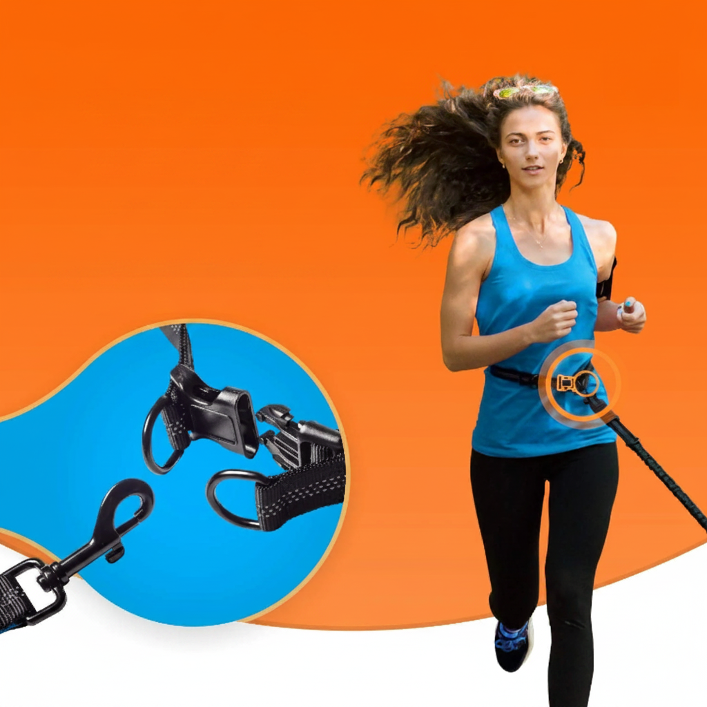 Laisse élastique pour chien boucle ceinture robuste pour courir avec son chien mains libres