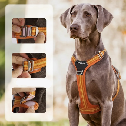Harnais confortable chien réglable sur grand chien brun de profil