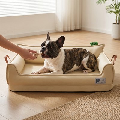 Bulldog mange un os dans son lit canapé pour chien
