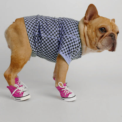 Bulldog porte Chaussure pour chien | Baskets