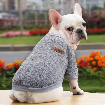 Bulldog porte Pull pour chien gris