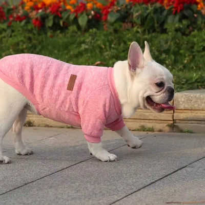 Bulldog porte Pull pour chien rose