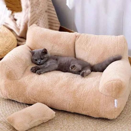 Chat gris installé dans le Sofa Relax™ beige — rebords surélevés effet cocon