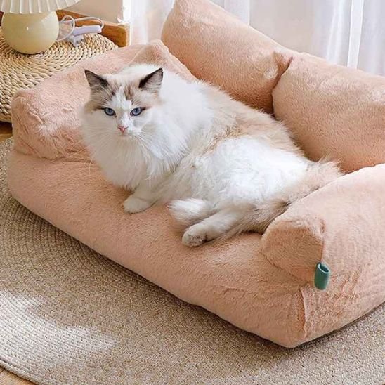 Chat blanc allongé sur canapé chat Sofa Relax™ beige — confort et élégance