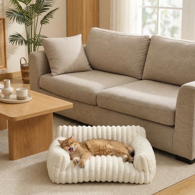 Chat couché sur canapé pour chat FéliSofa™ beige nervuré dans salon contemporain