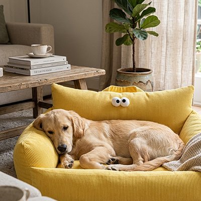 Chien installé sur canapé pour chien SnugSeat™ jaune, vue de trois quarts