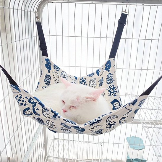 chat blanc dort hamac à chat blanc