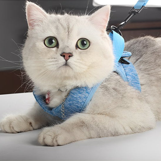 Harnais et laisse pour chat anti-échappement
