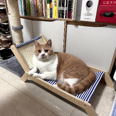 chat brun et blanc dans son hamac pour chat sur pied