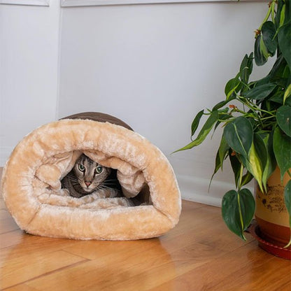Chat caché dans son panier fermé Chat