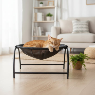 Chat dort hamac dans le salon