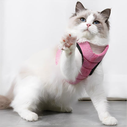 Harnais et laisse pour chat rose à velcro