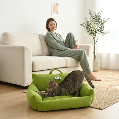 Panier pour chat Confort Douillet vert - chat installé dans salon moderne son maître  ses côtés