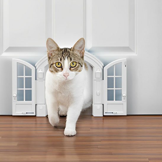 chatière pour chat intérieur
