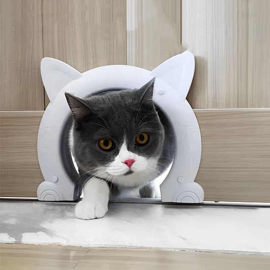 chatière pour chat tunnel circulaire