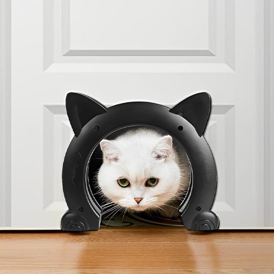 chatière pour chat tunnel transparent