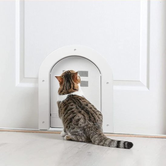chatières pour chats facile à installer