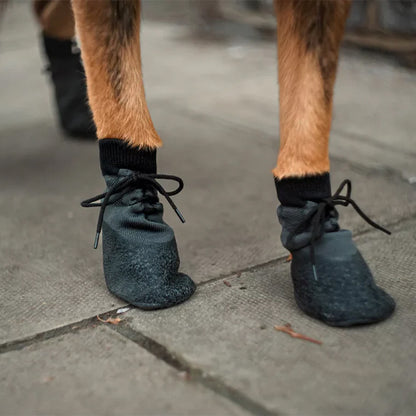 Chaussures chien polyvalente