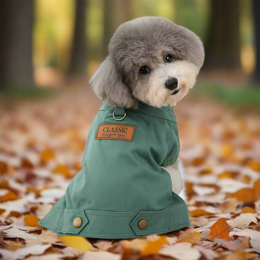 Manteau pour petit chien | Denim