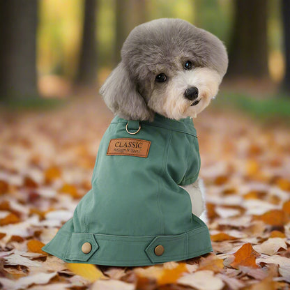 Manteau pour petit chien | Denim