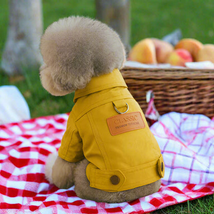 Manteau pour petit chien | Denim