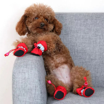 Chien assis sofa porte Chaussures pour chiens