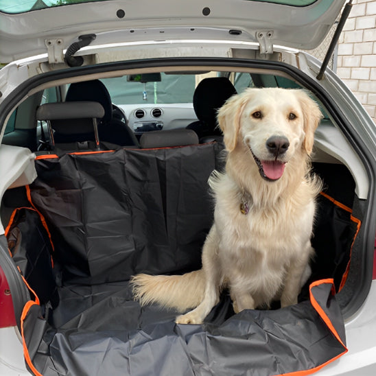 Chien blanc assis arrière vus sur Protection pour chien voiture | VUS Go