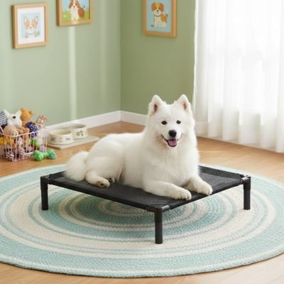 chien blanc couché Lit pour Chien surélevé salon