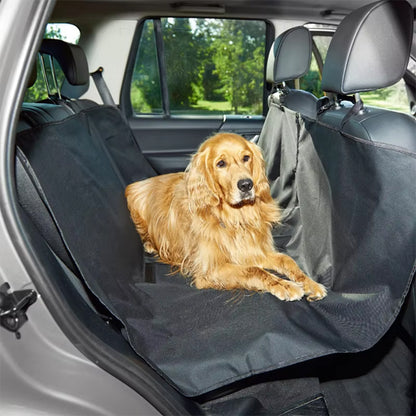 Chien couché auto sur Protection voiture chien